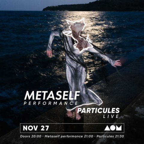 Particules @ Metaself-main-image